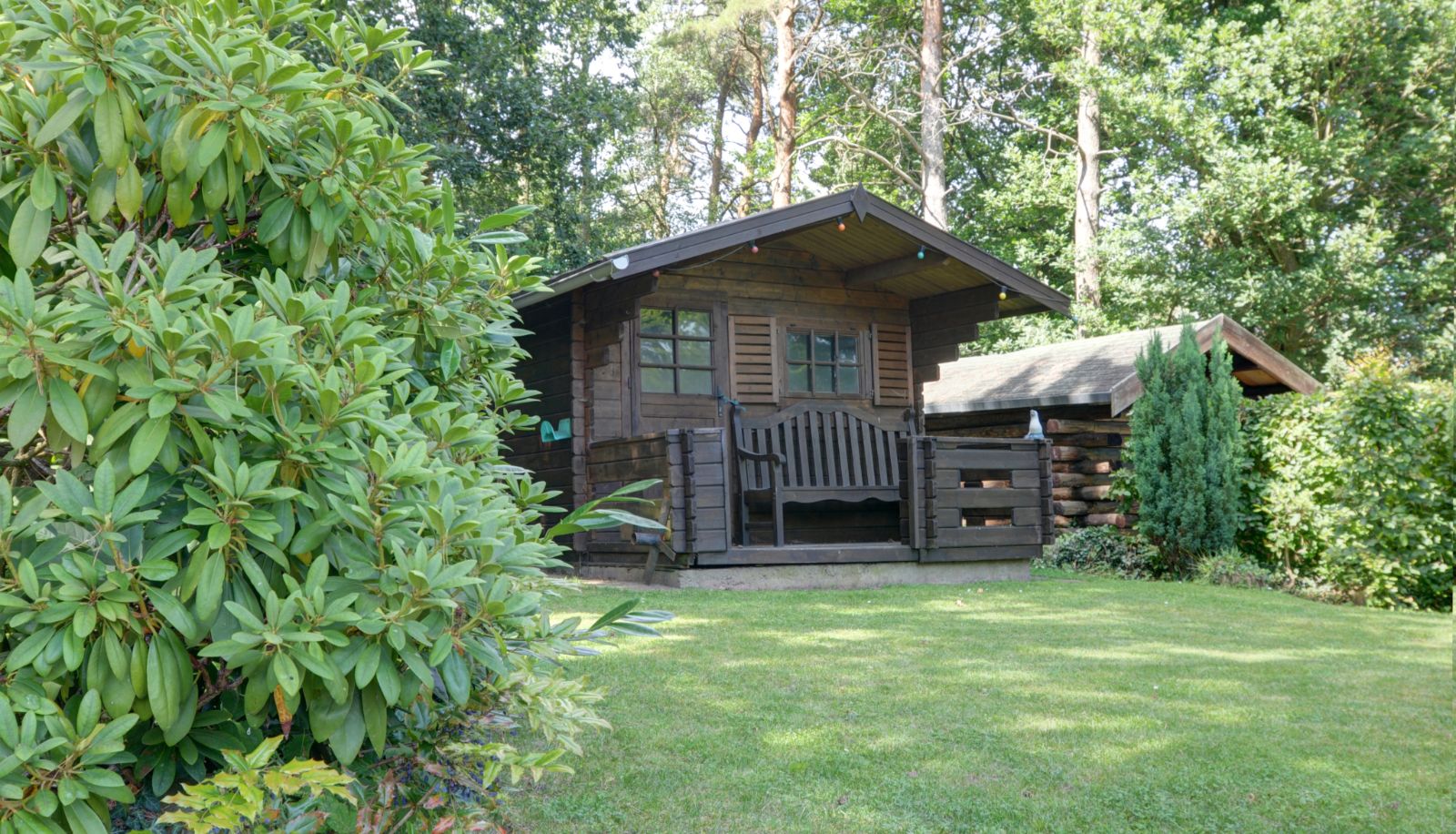 Ogród - Thome