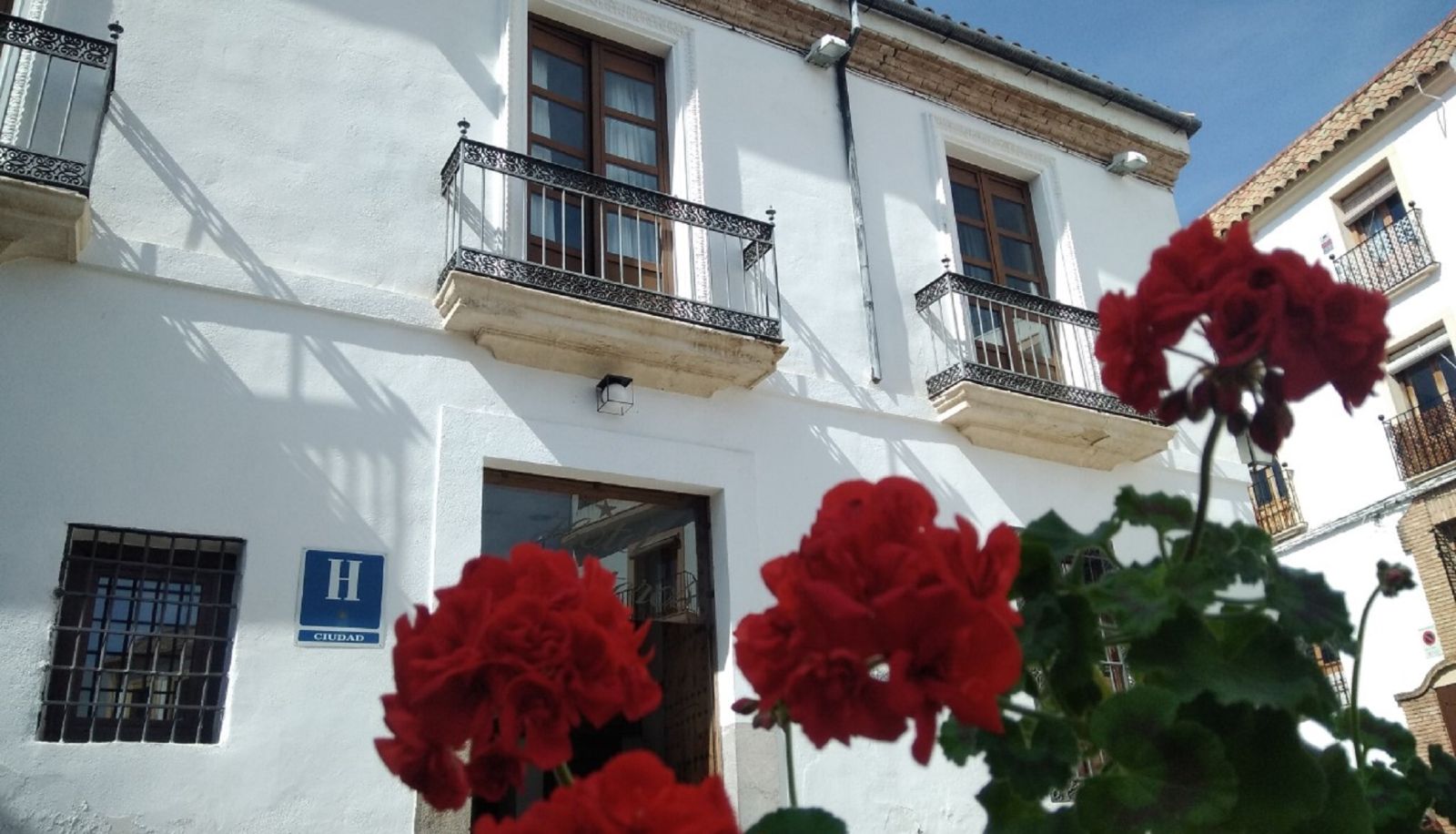Extérieur de l'hôtel - Hotel Plateros