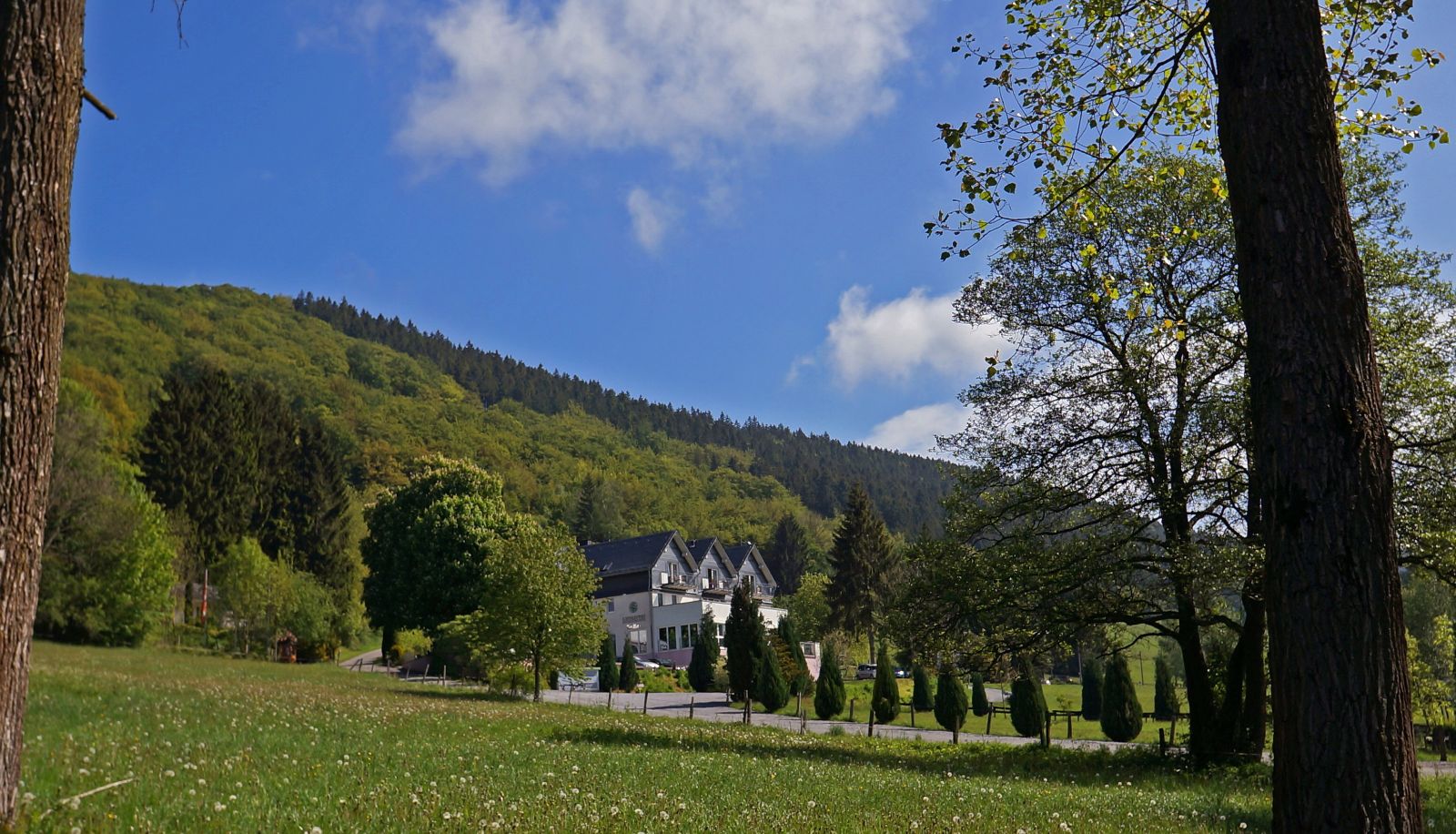 Extérieur de l'hôtel - Waldhotel Schinkenwirt