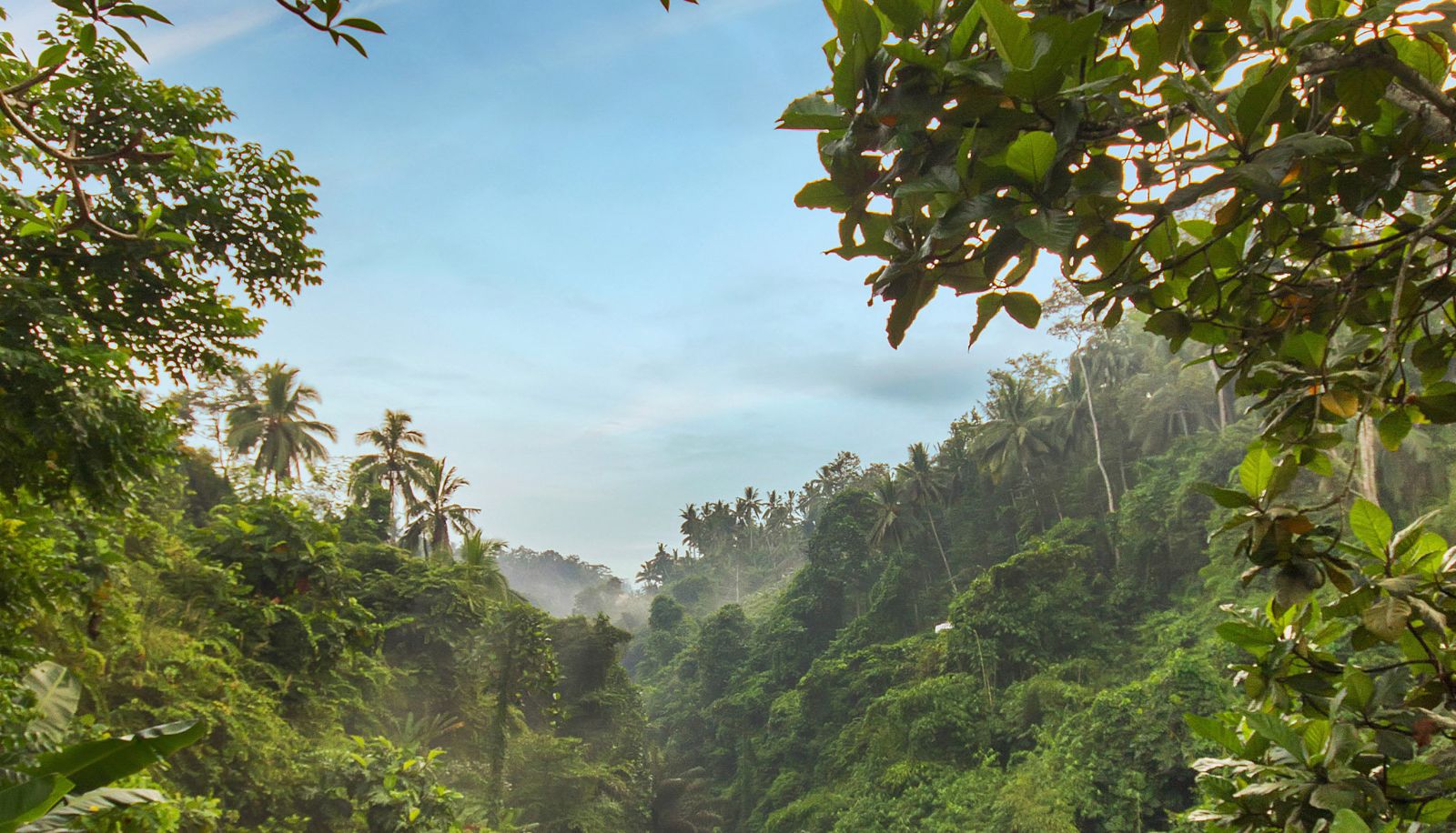 Umgebung - Viceroy Bali
