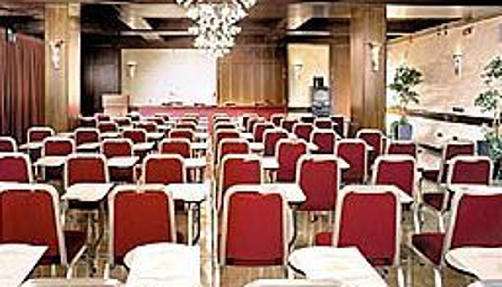 Sala konferencyjna - Al Pino Verde