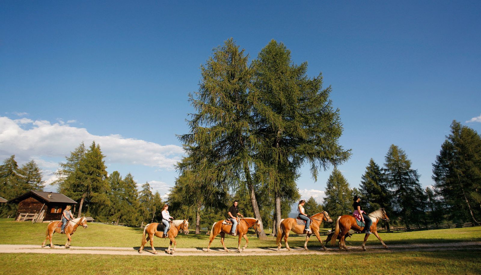 Manege - Zum Hirschen Landgasthof