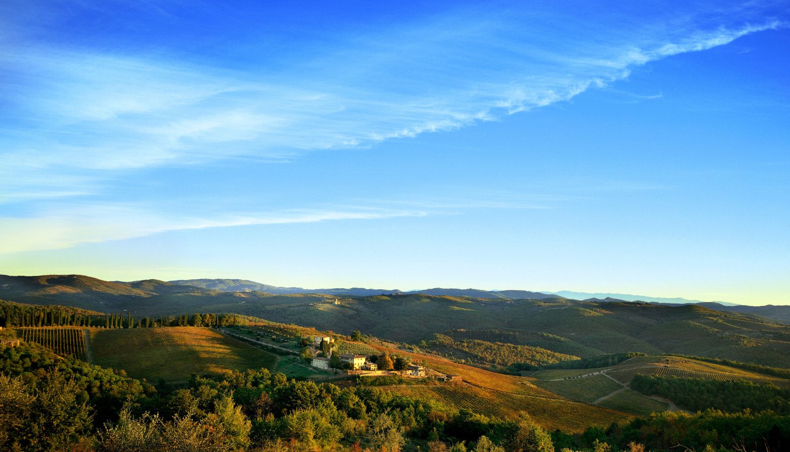 Ausblick - Dievole Wine Resort