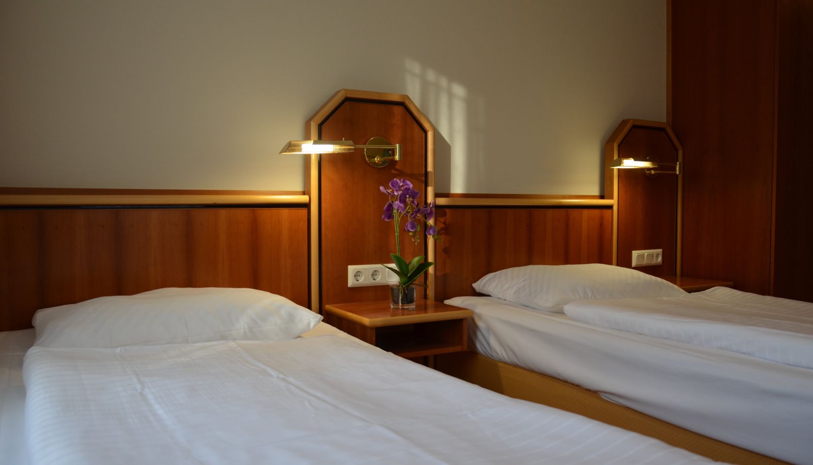 Habitación estándar (individual) - Haus am Park