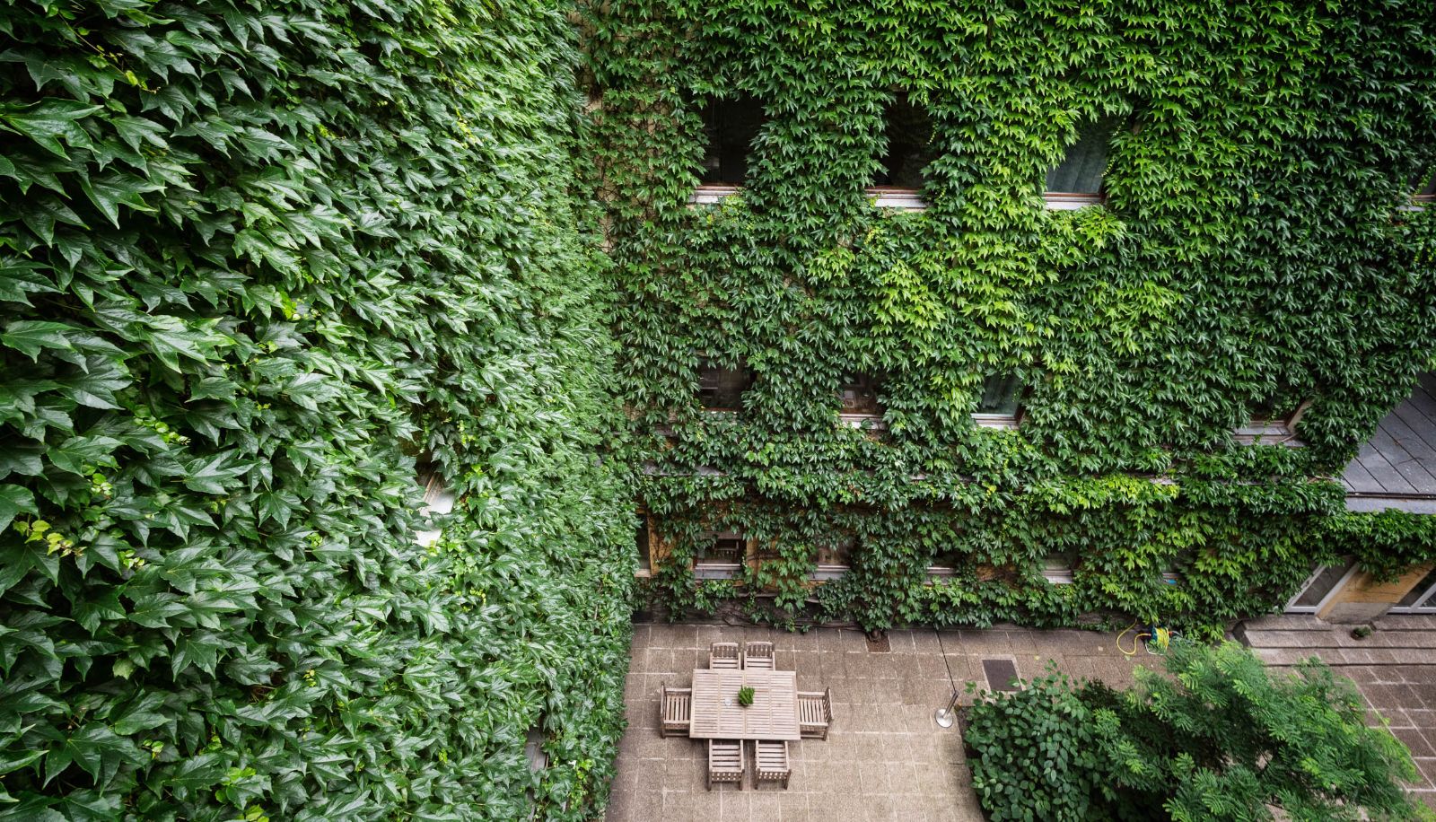 Tuin - Hotel Kunsthof