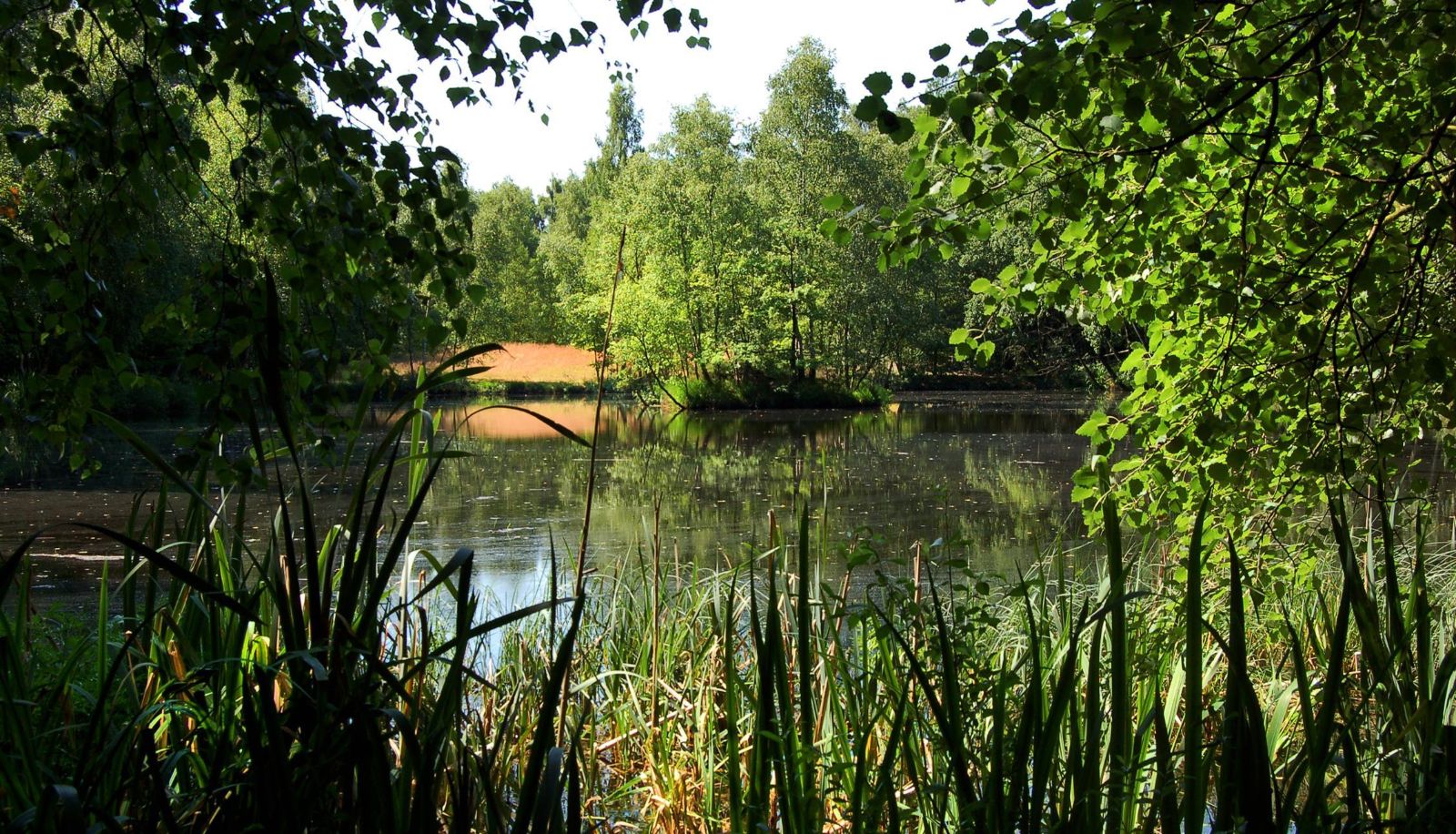 Otoczenie - Hotel Heide-Kröpke