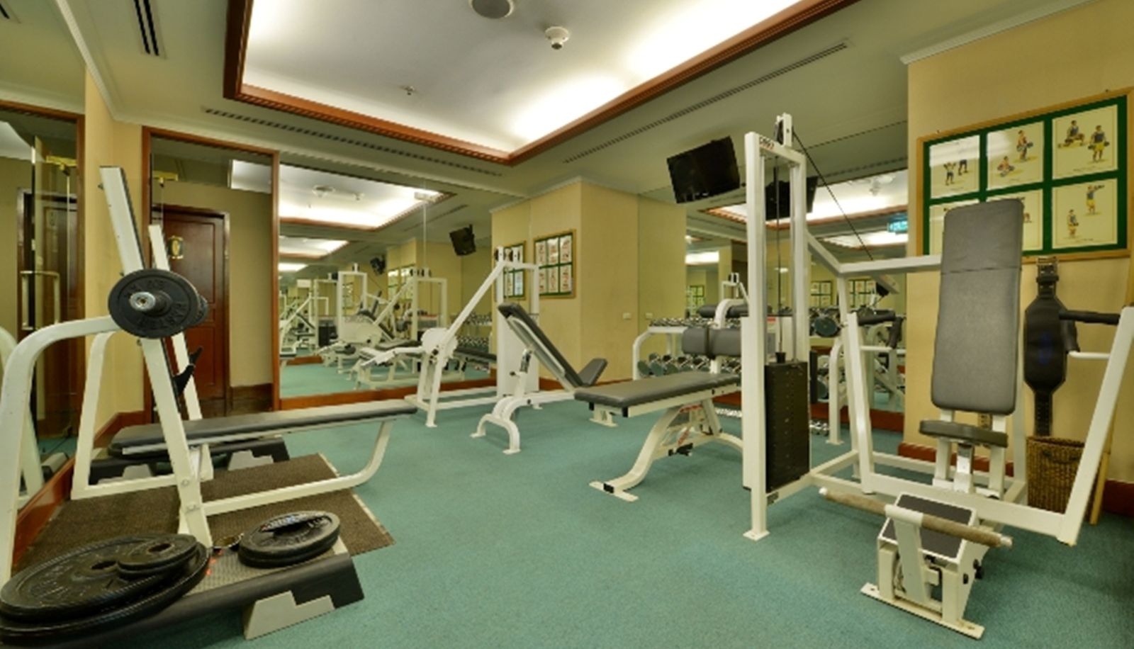 Fitnessraum - Evergreen Laurel