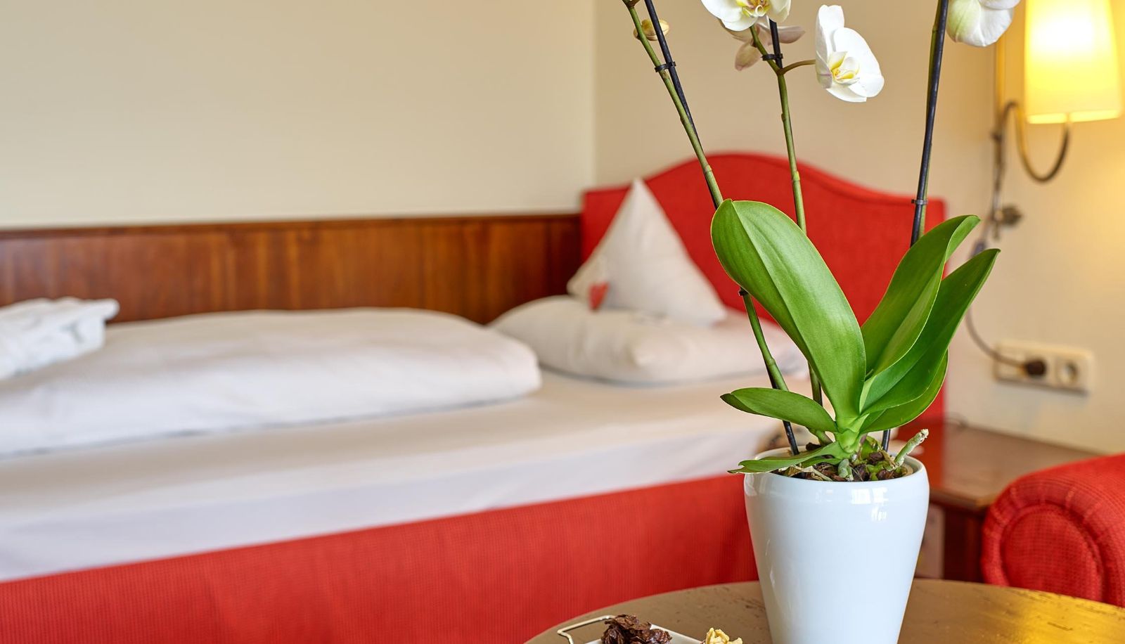 Standardzimmer (Einzel) - DAS LUDWIG Sports Resort