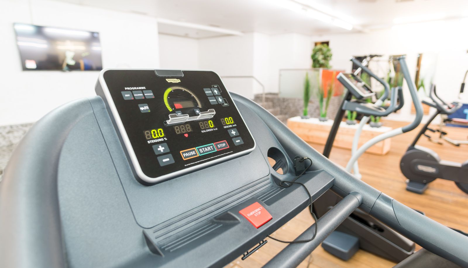 Fitnessraum - Luna Inn