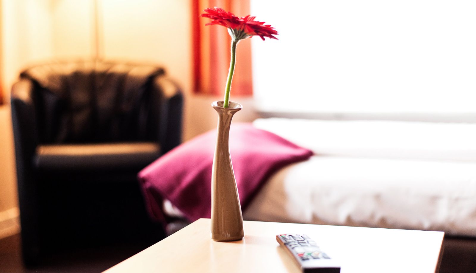 Standaardkamer (eenpersoons) - Hotel am Tiergarten HBF