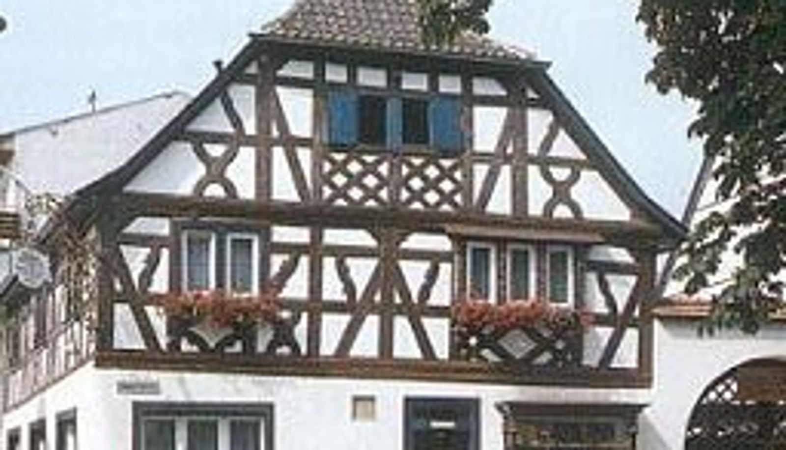 Vista esterna - Grüner Baum