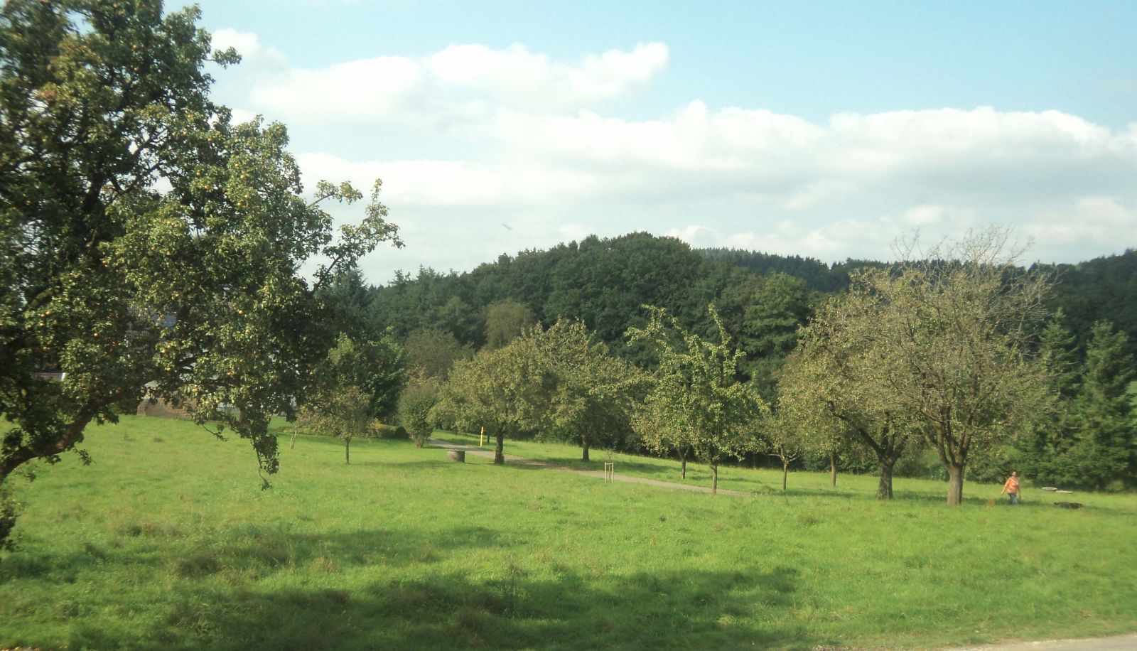 Omgeving - Zum Urberg Boardinghouse & Ferienwohnungen