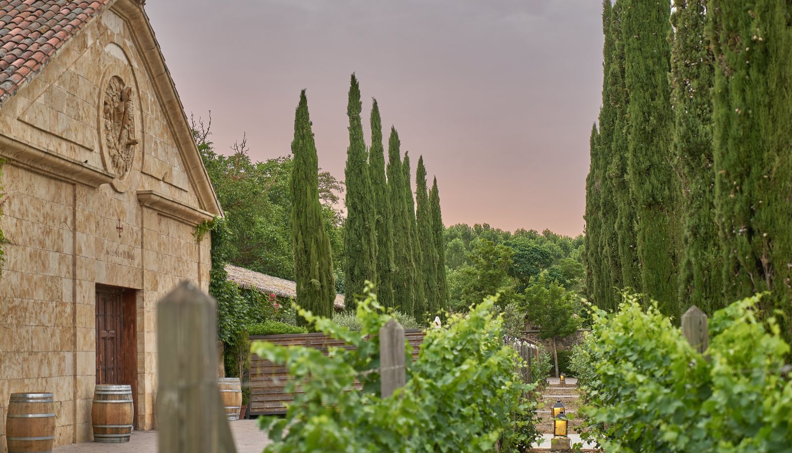 Garden - Hacienda Zorita Wine Hotel & Spa
