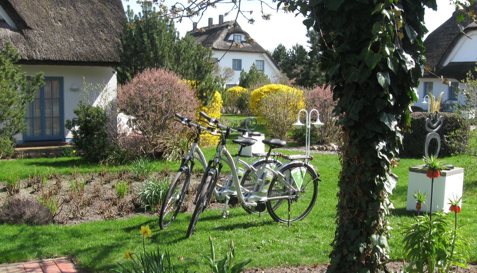 Garten - Landhotel Kastanienallee