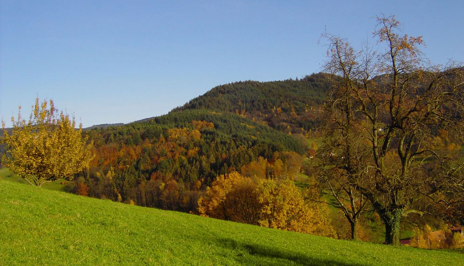 Garten - Breig Pension