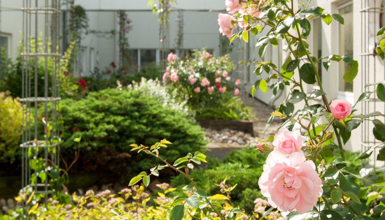 Garden - Egon Hotel Hamburg City