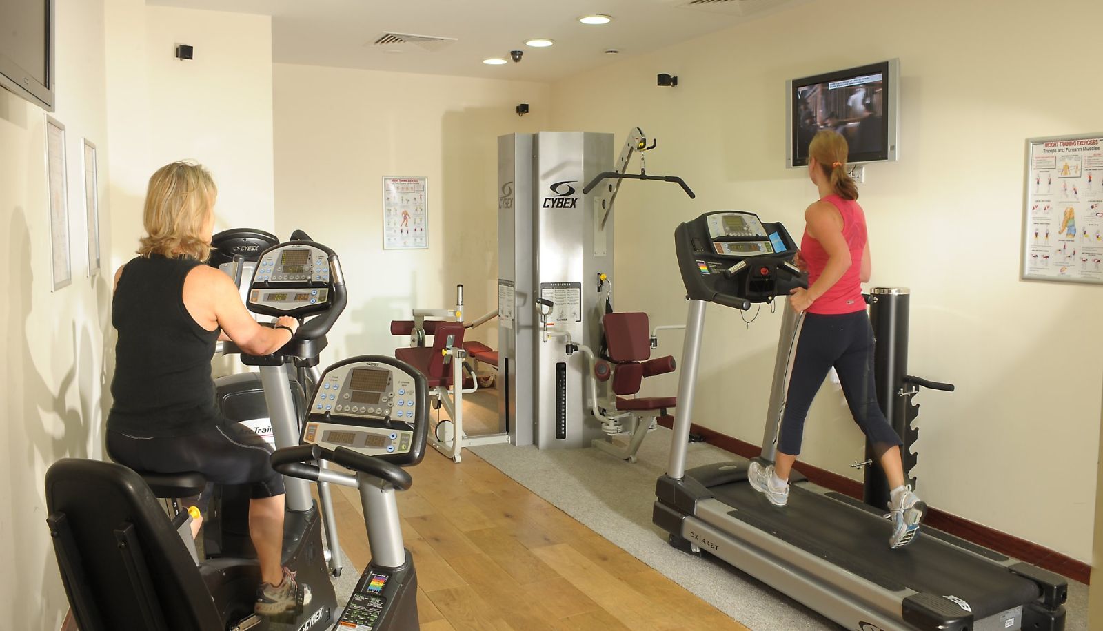 Gimnasio - Absolute Limerick