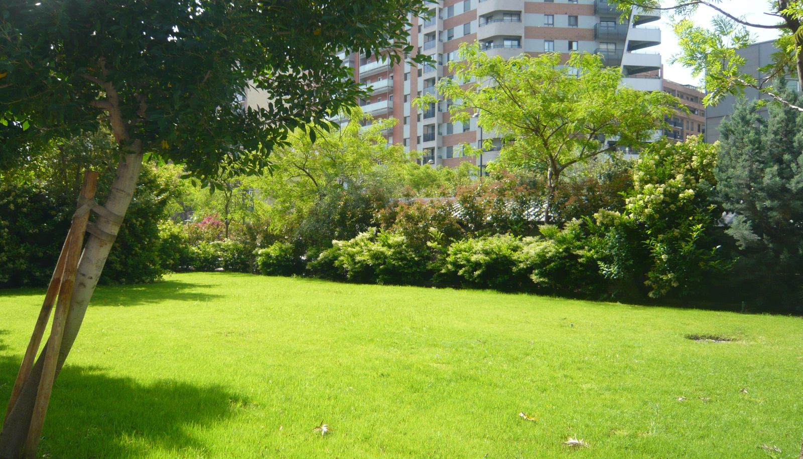 Garten - Primus Valencia