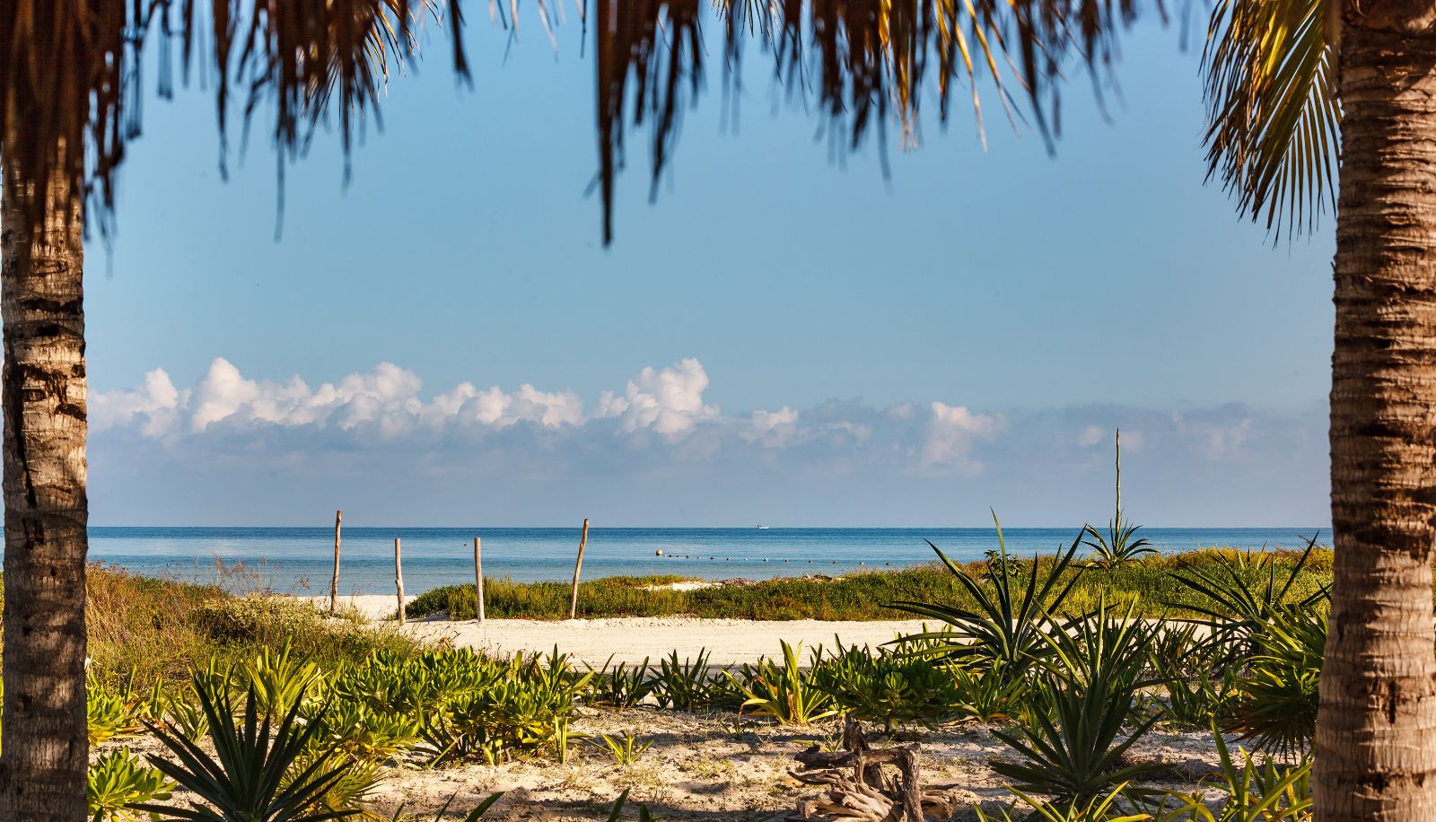 Plaża - Villas HM Paraiso Del Mar