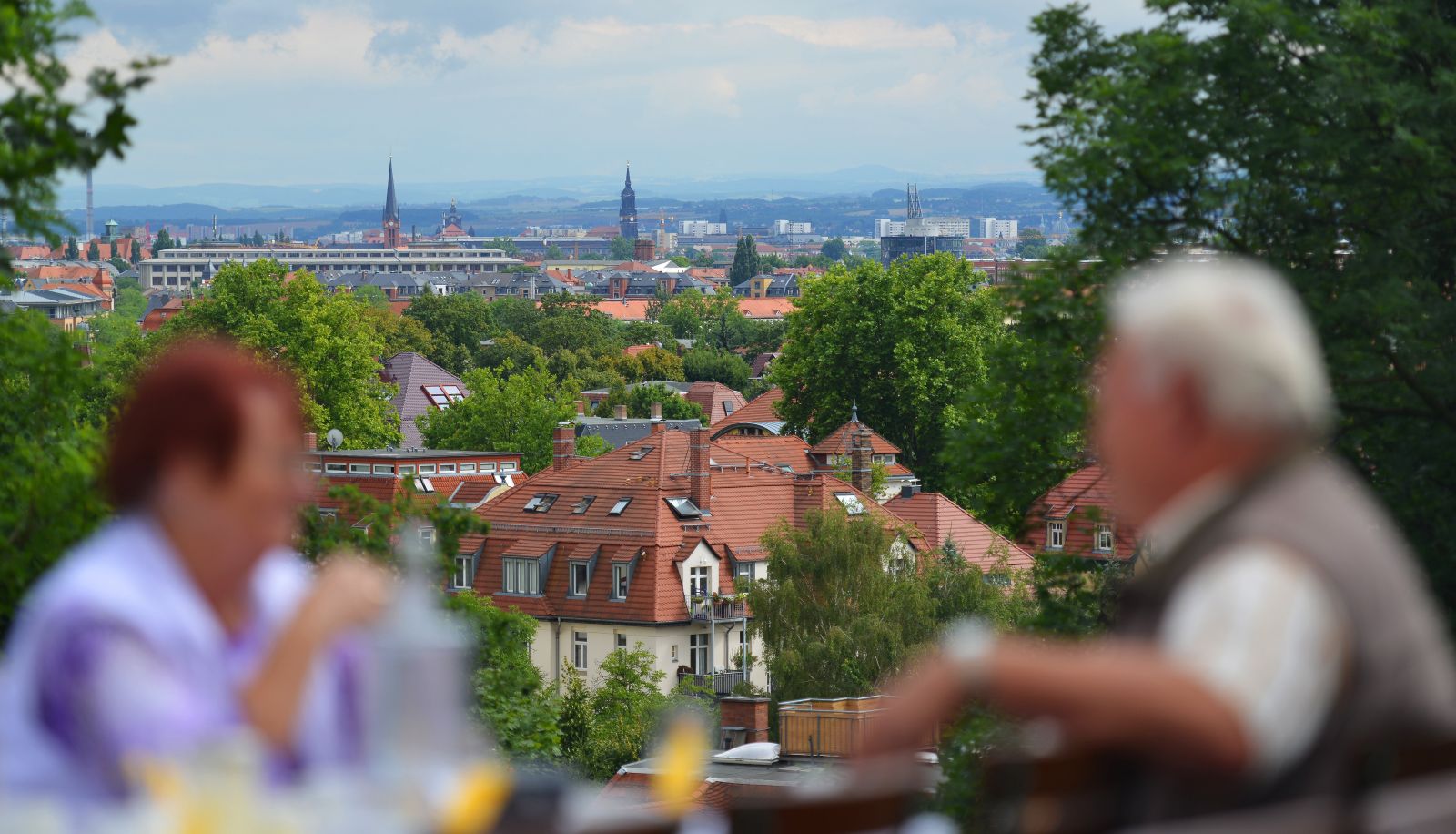 Terras - Bergwirtschaft Wilder Mann