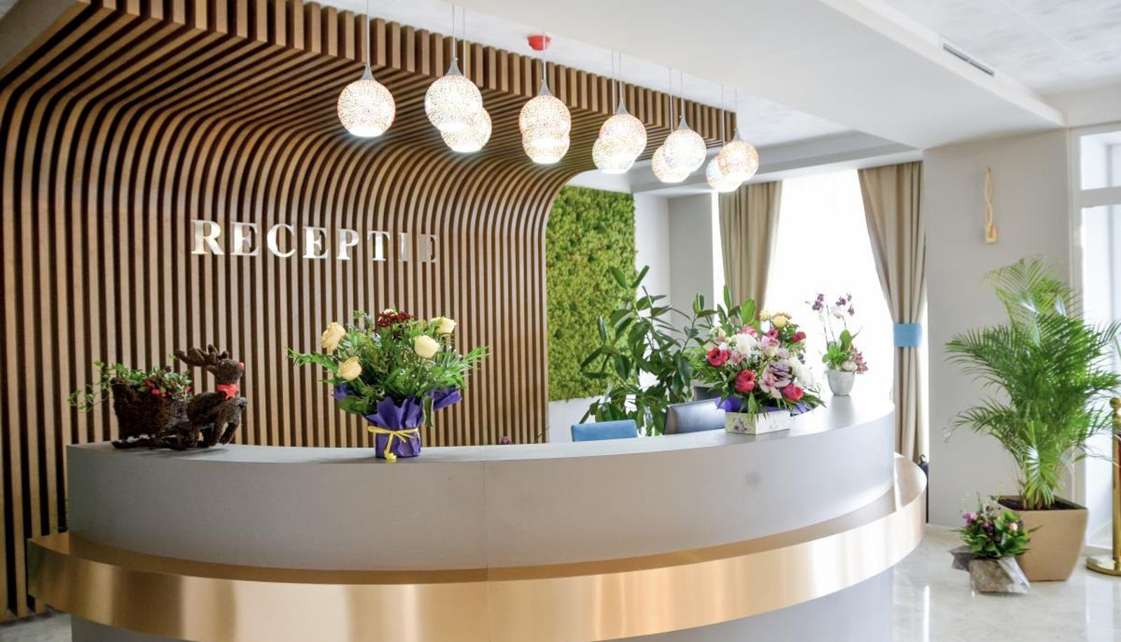 Reception - Afrodita