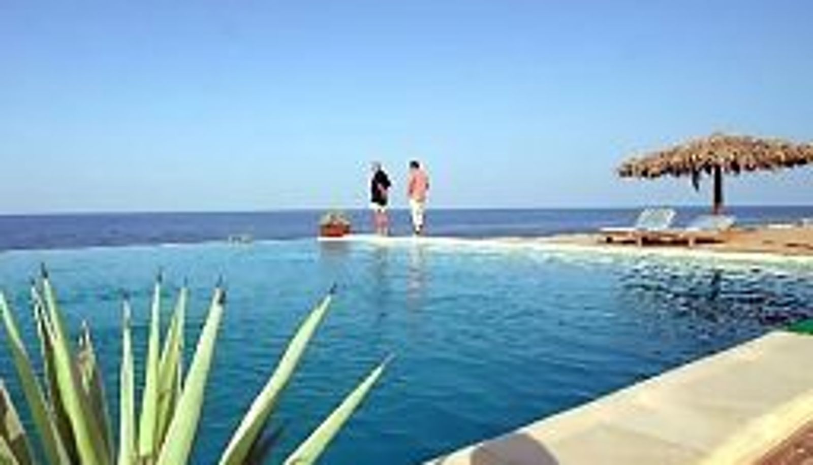 Pool - The Oasis