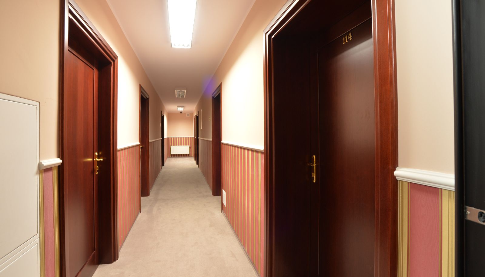 Interior del hotel - Cesarski Hotel