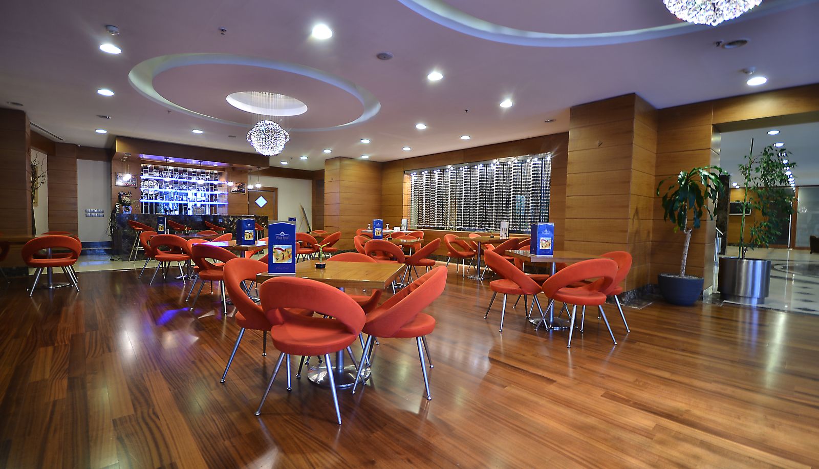 Bar - Plaza Hotel Ankara