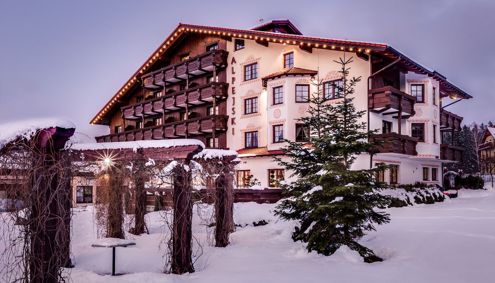 Buitenruimte van het hotel - Alpejski