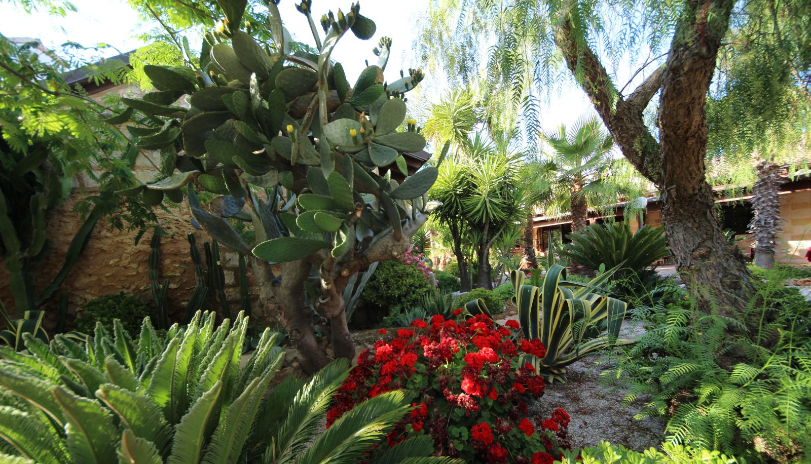 Garten - Masseria Pisciani