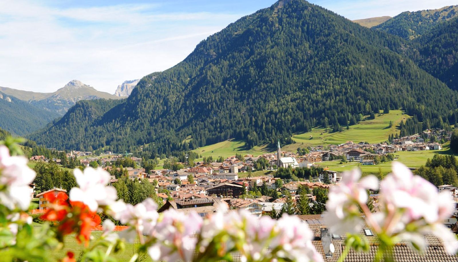 Ausblick - Alpine Touring