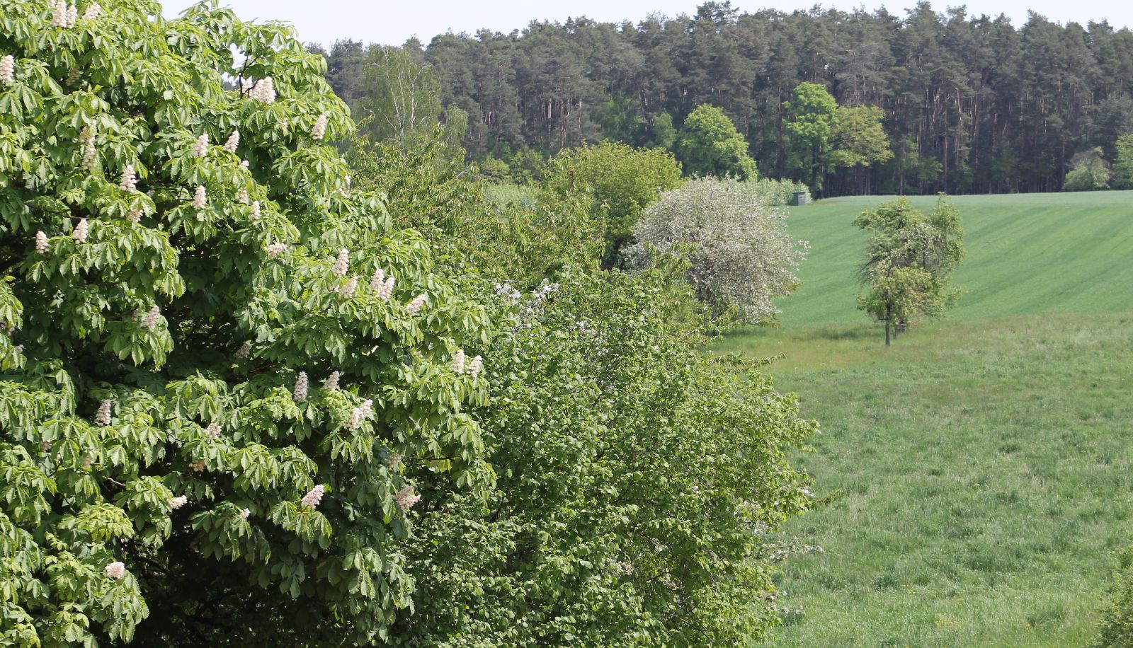 Umgebung - Landgasthof Krug Familie Braun