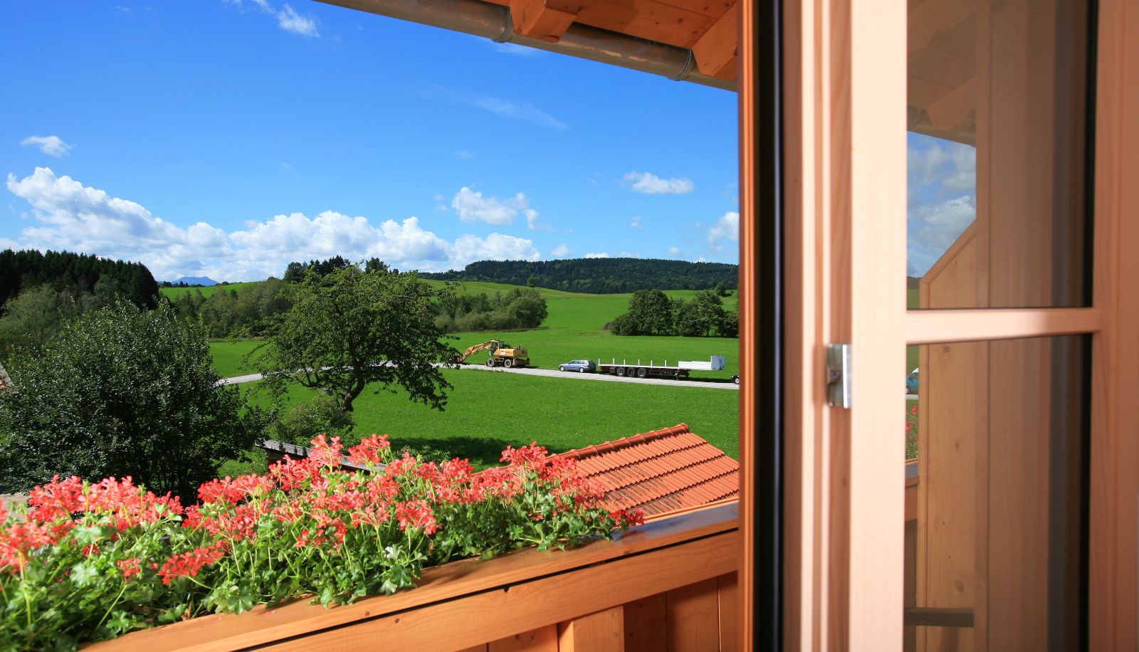 Camera con balcone - Schweizerhaus Pension Garni
