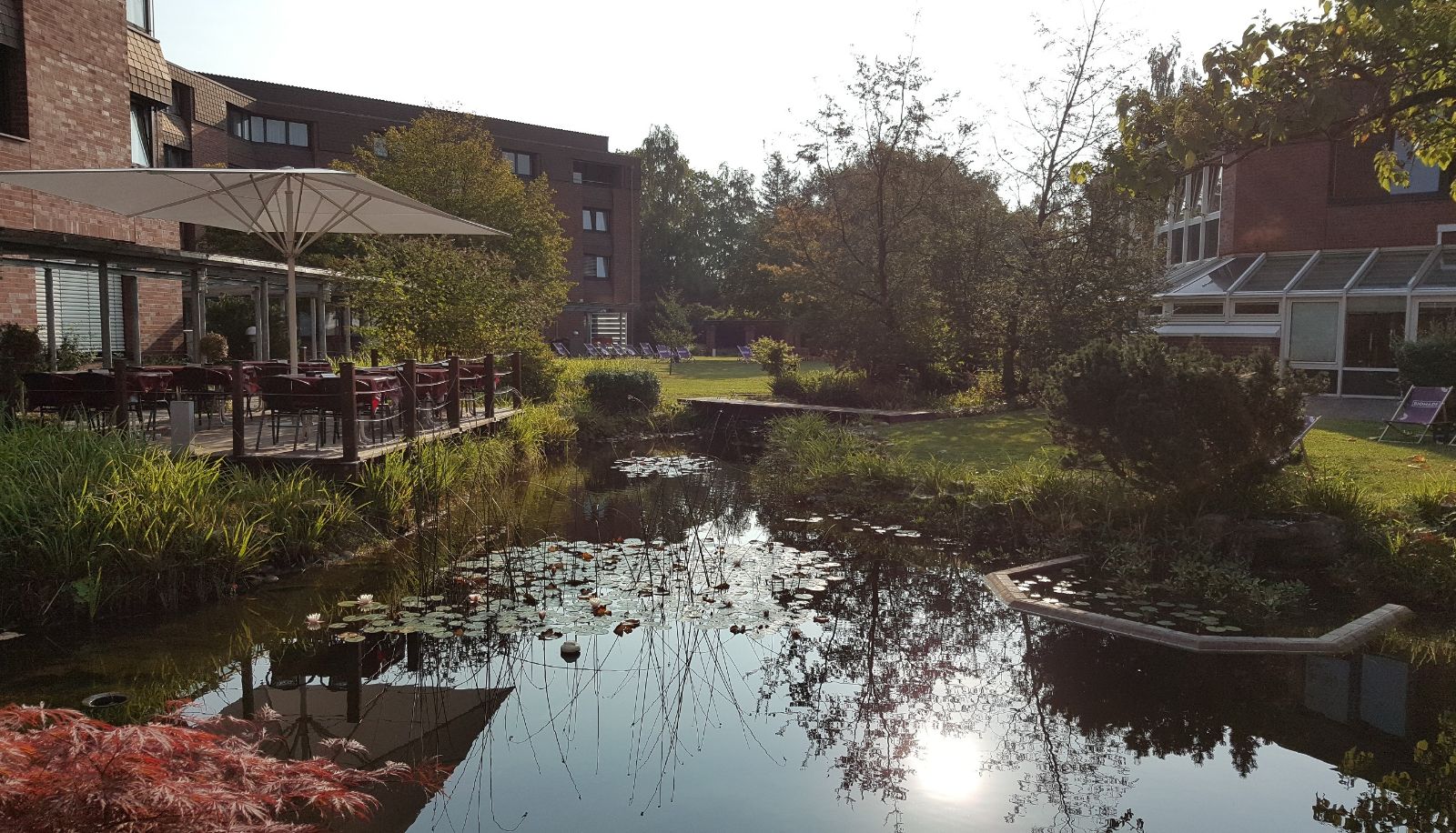 Garten - Hotel Gustav-Stresemann-Institut