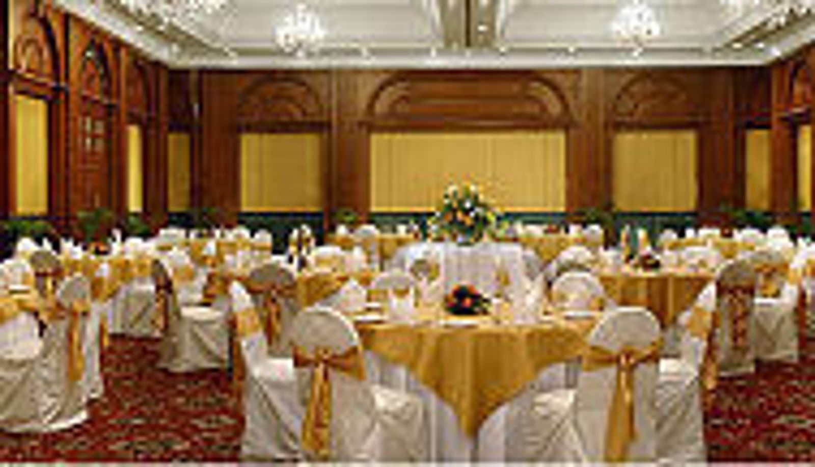 Sala conferenze - Fortune Park Panchwati Kolkata