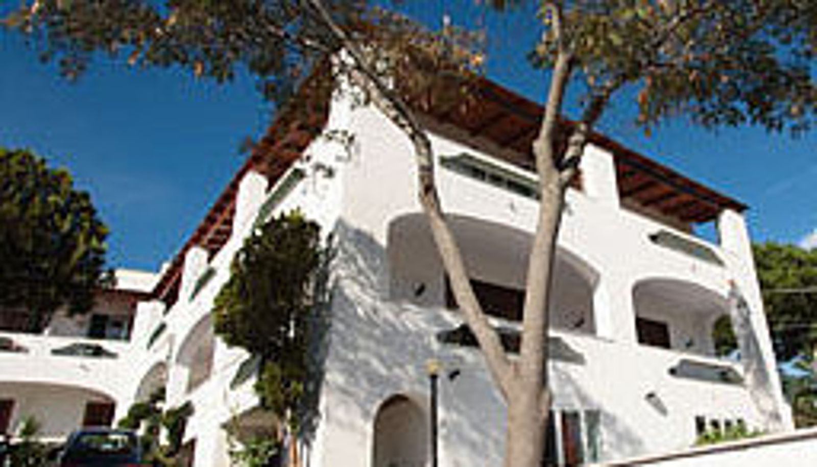 Bar - Al Bosco