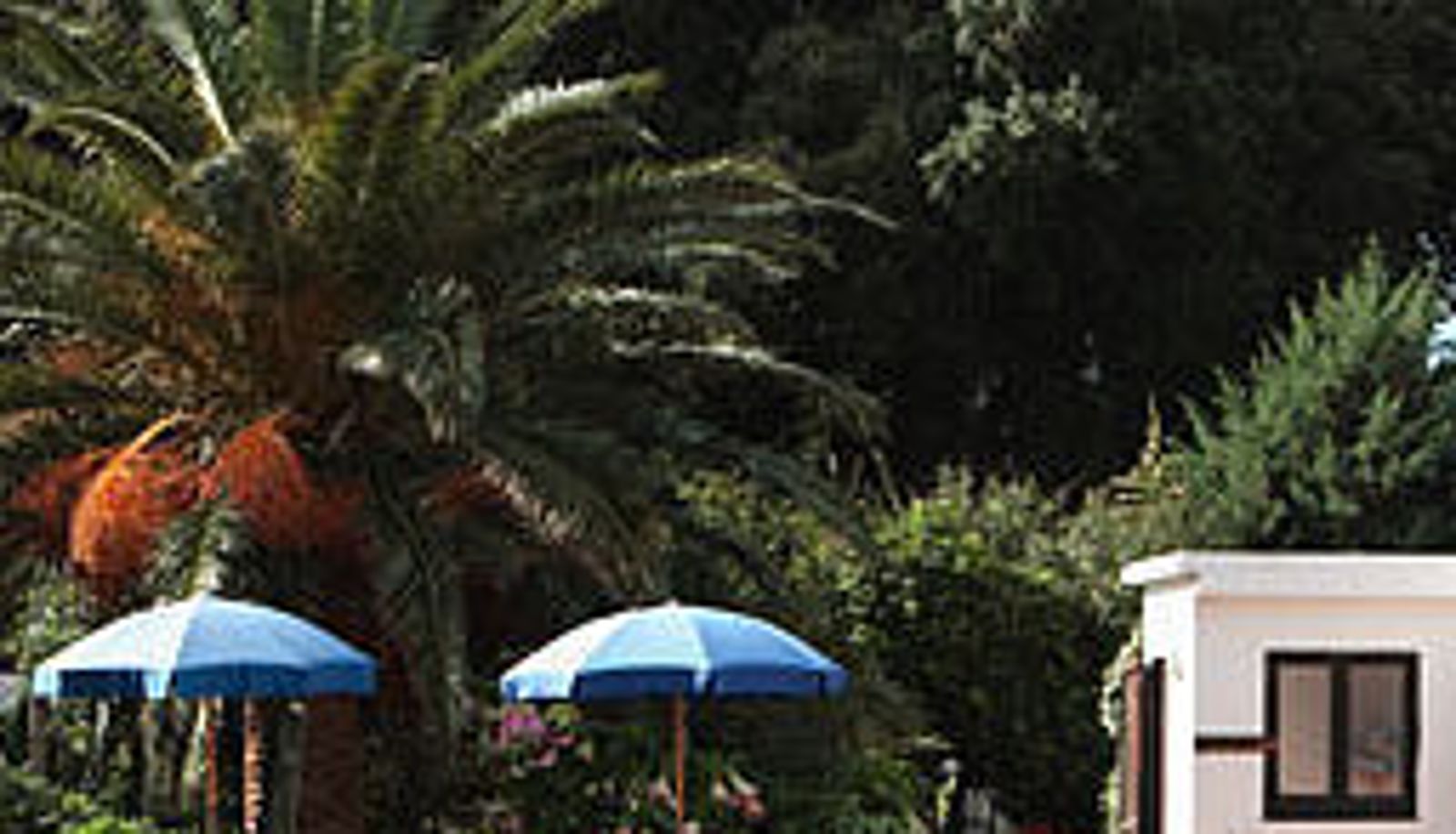 Pool - Al Bosco