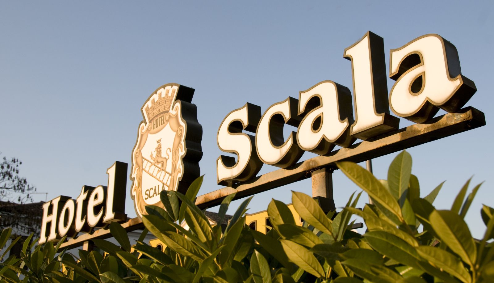 Info - Scala