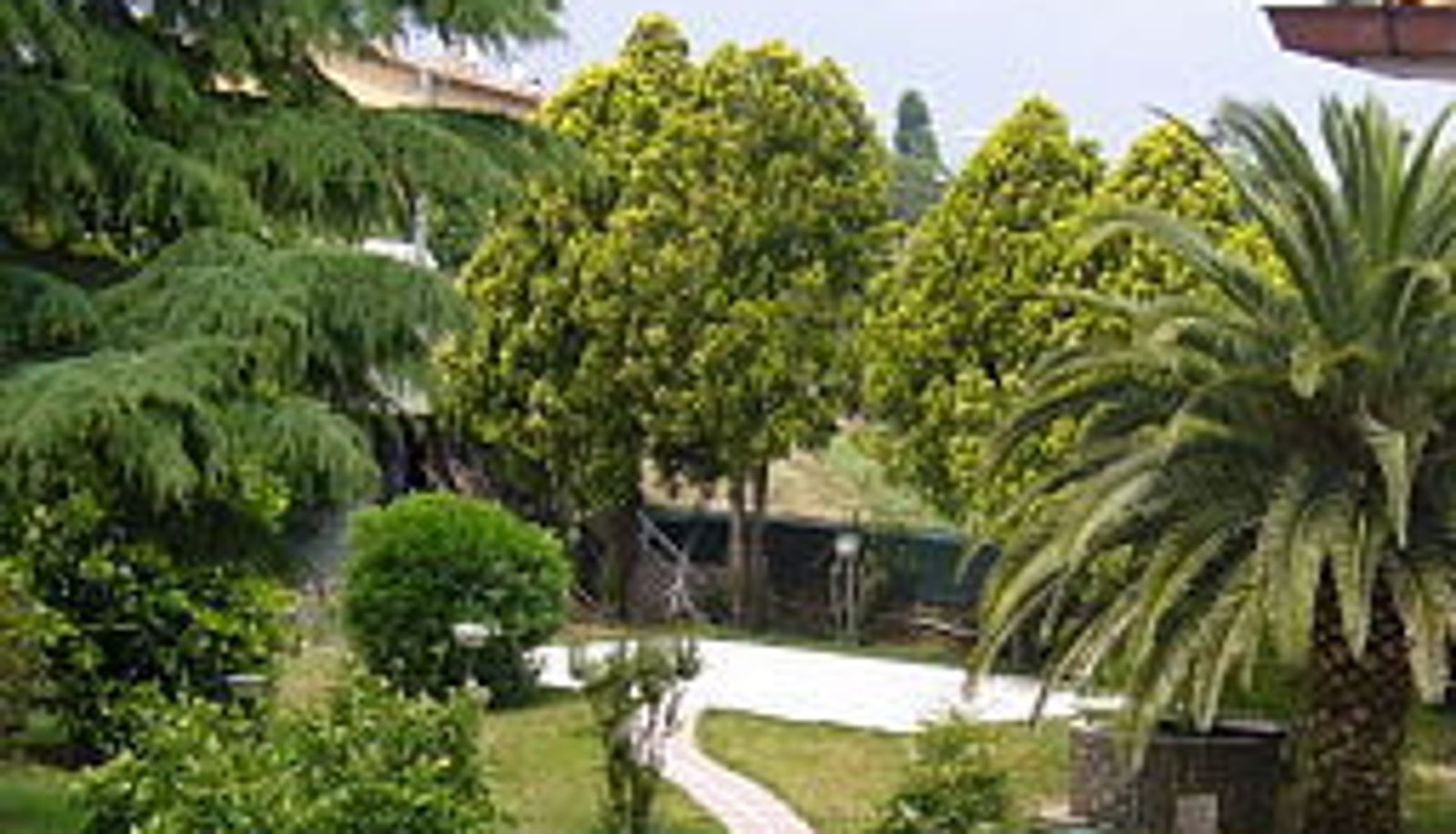 Garden - Massimino