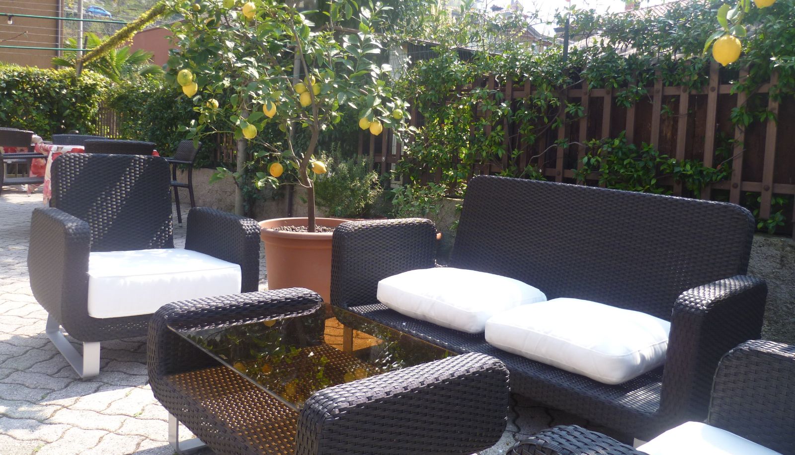 Tuin - Villa Alberta