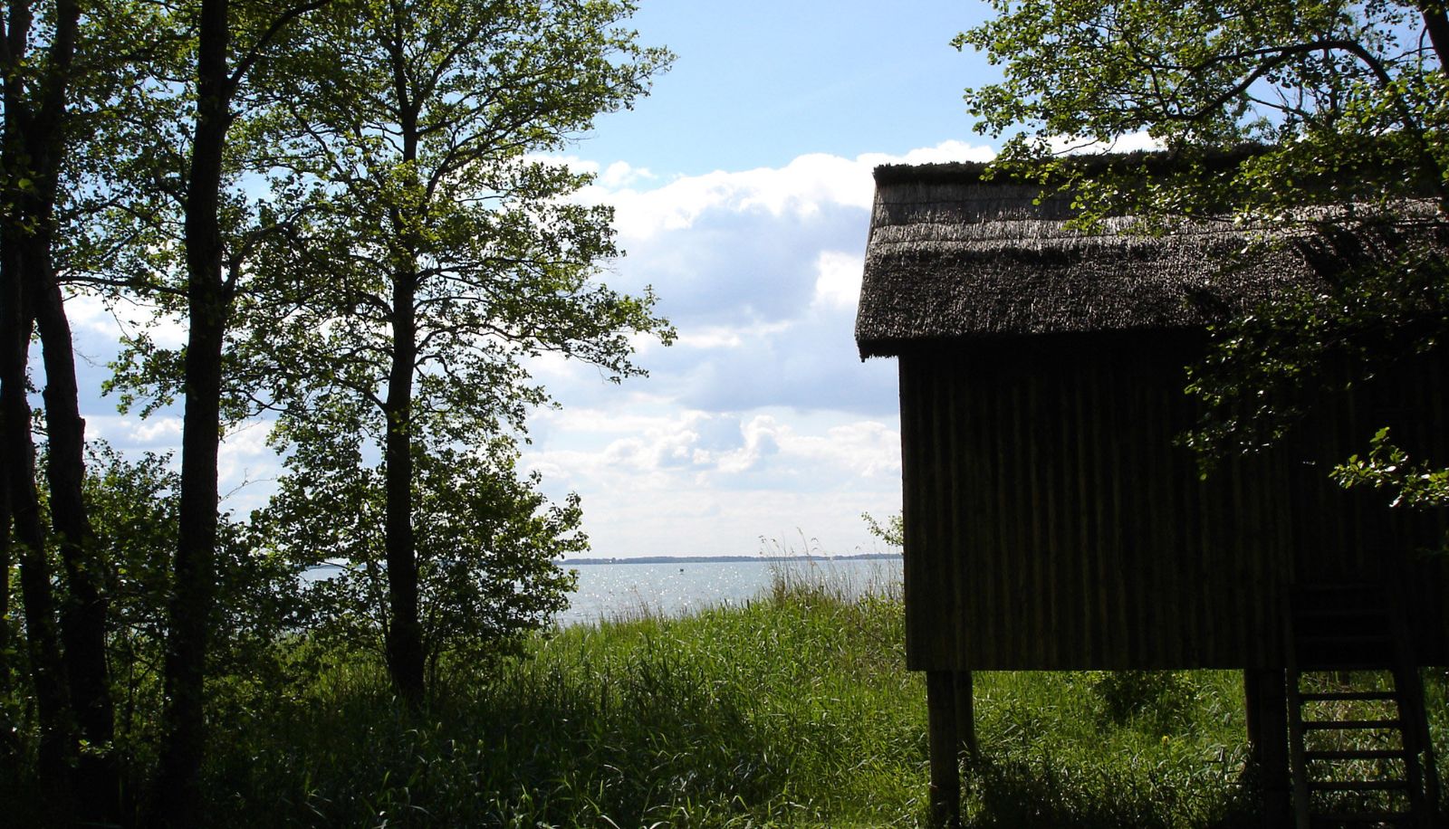 Umgebung - Hotel Müritz-Park