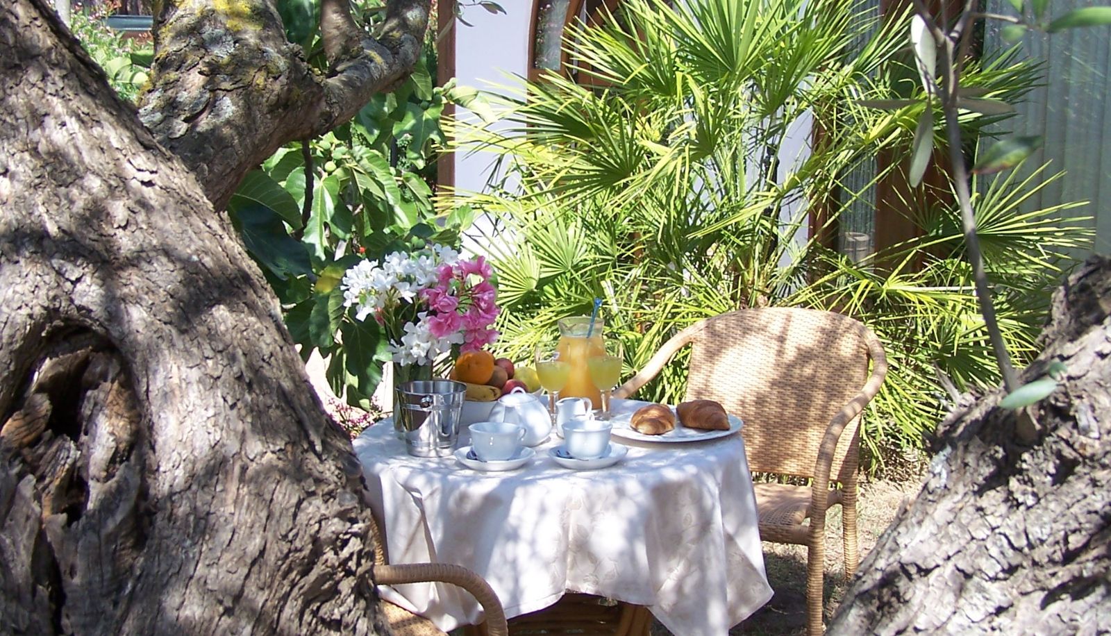 Garden - Club Hotel Ragno d'Oro