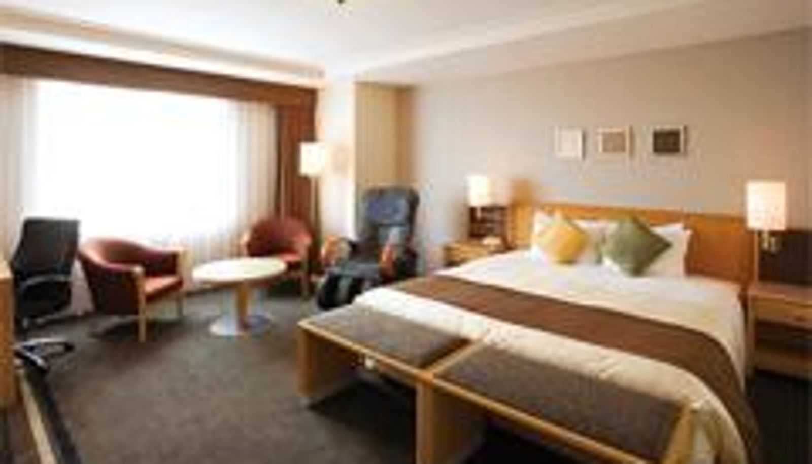Camera - Keio Plaza Hotel Hachioji