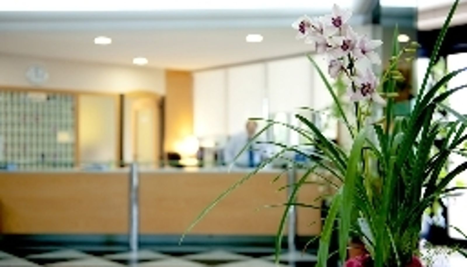 Reception - Dragonara