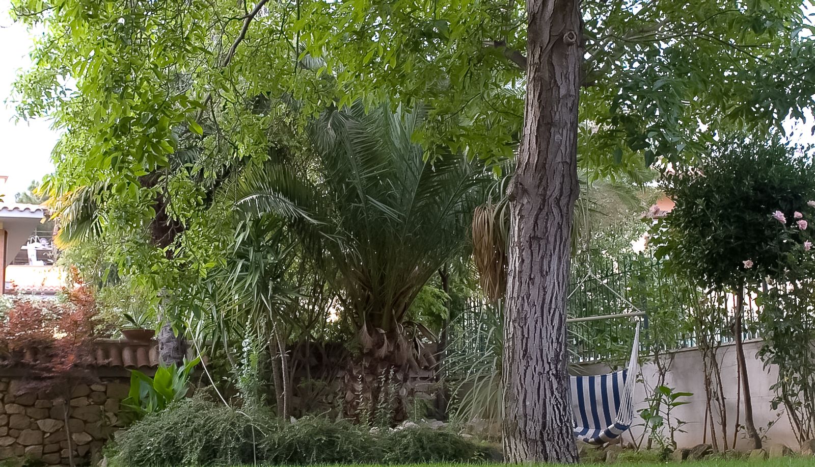 Jardín - Louis 2