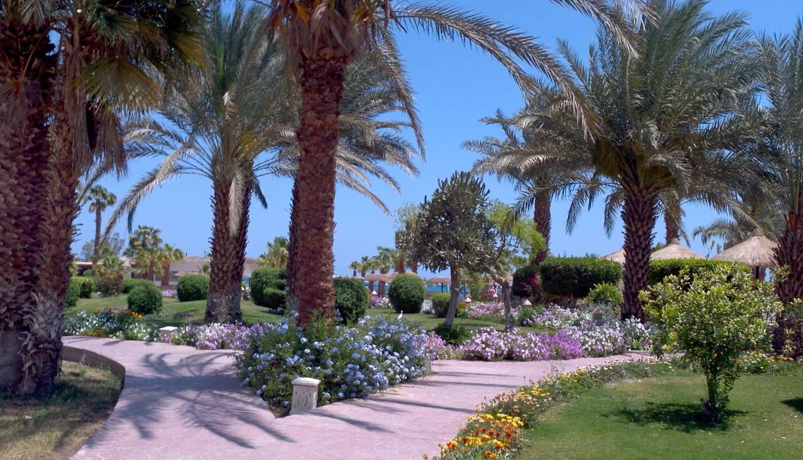 Innenbreich - Lotus Bay Resort And Garden