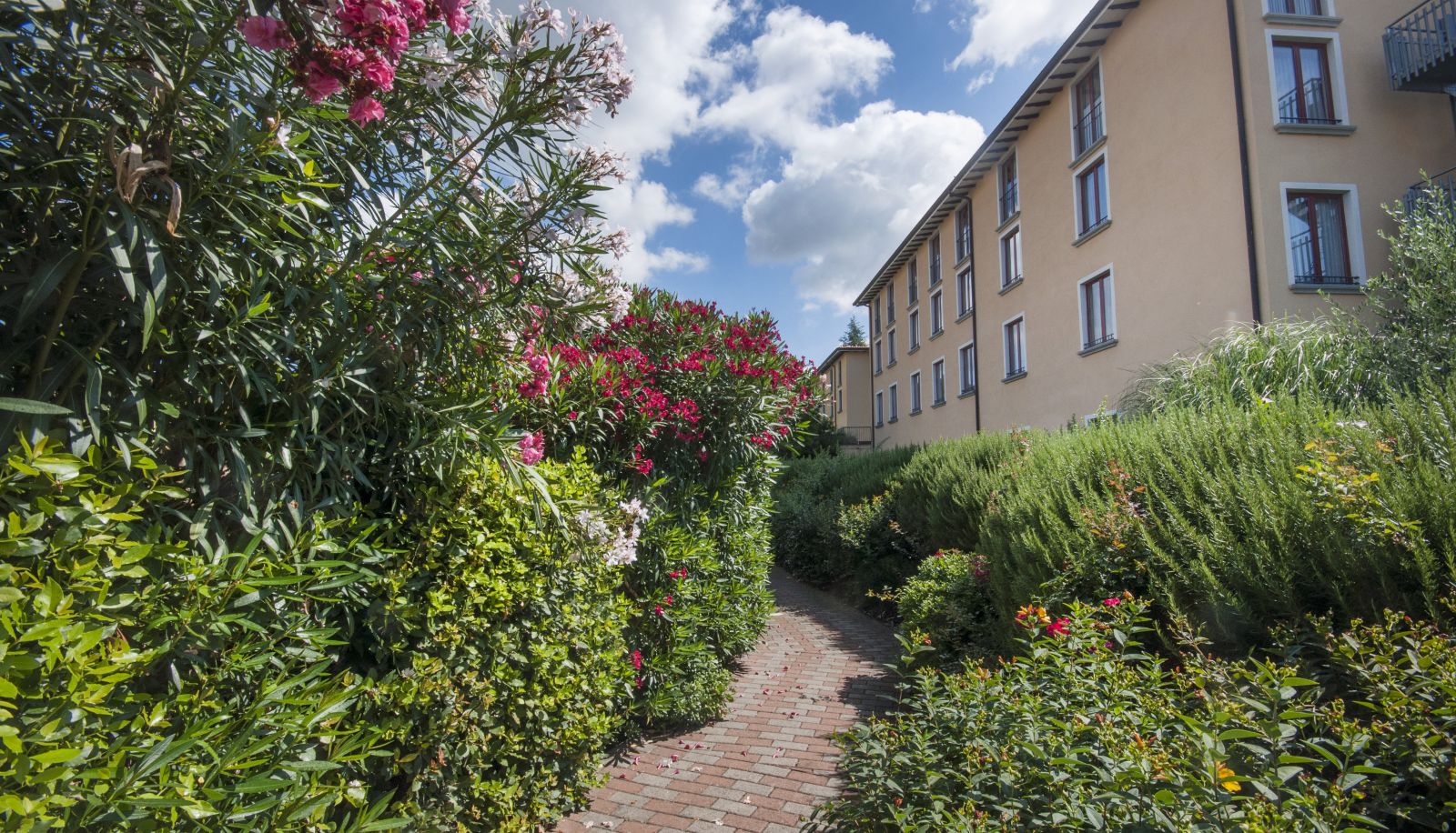 Area esterna dell'hotel - Villa Paradiso