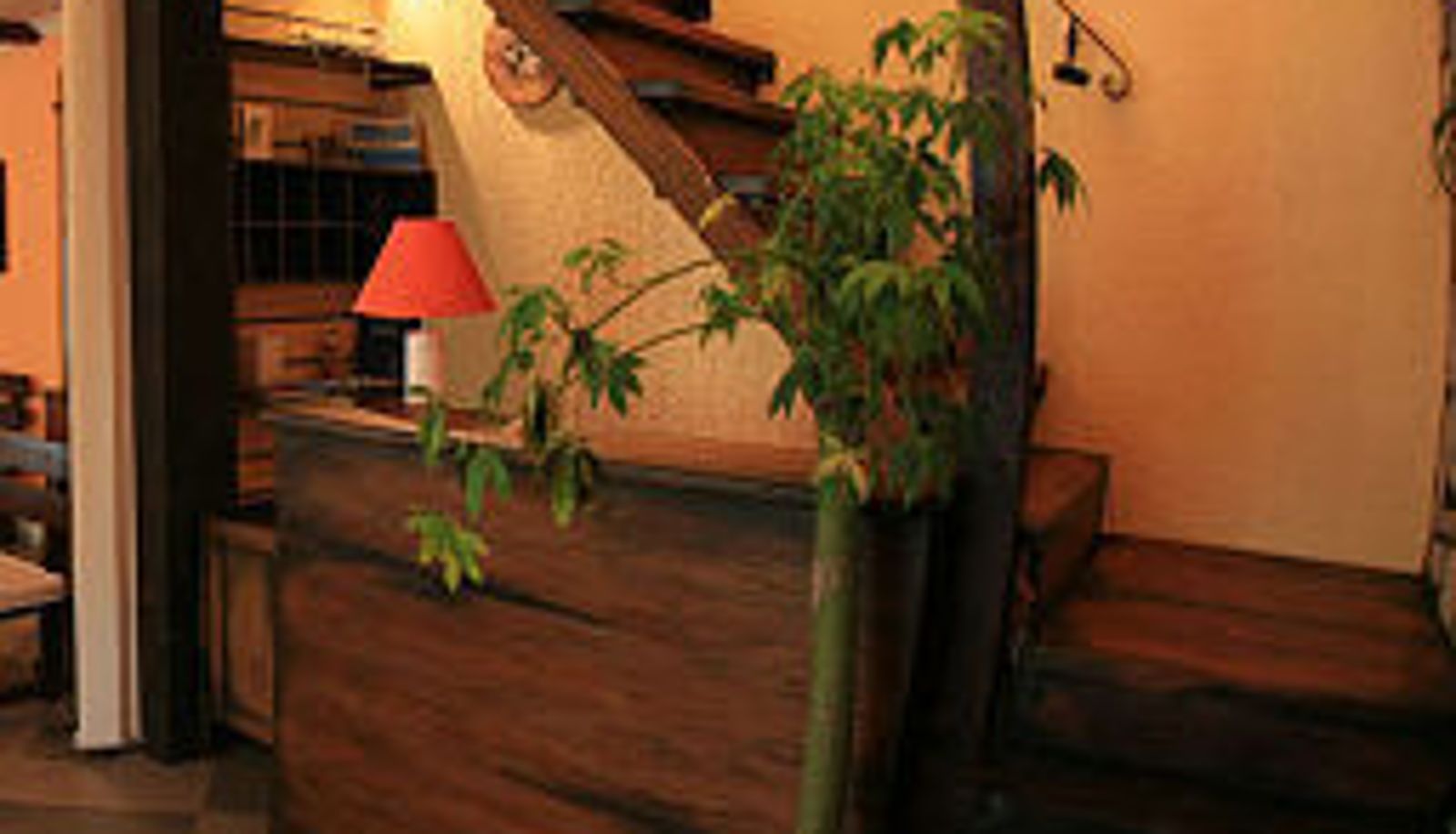 Receptie - Villa Cezar