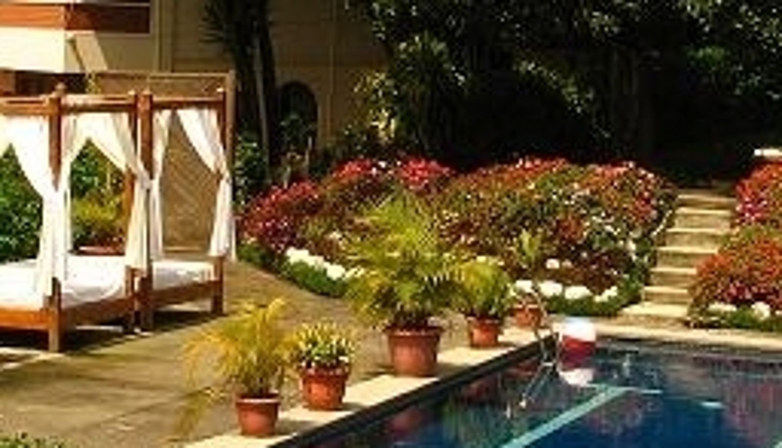 Piscine - La Catalina Hotel and Suites