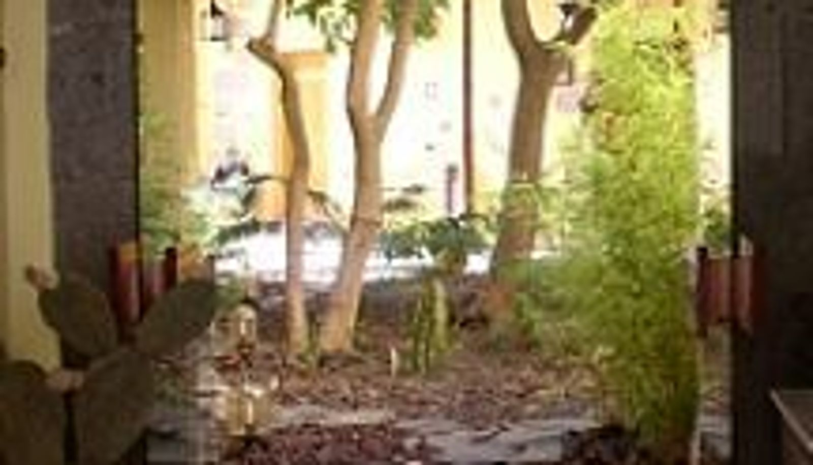 Garden - Casa los Camellos Hotel Rural